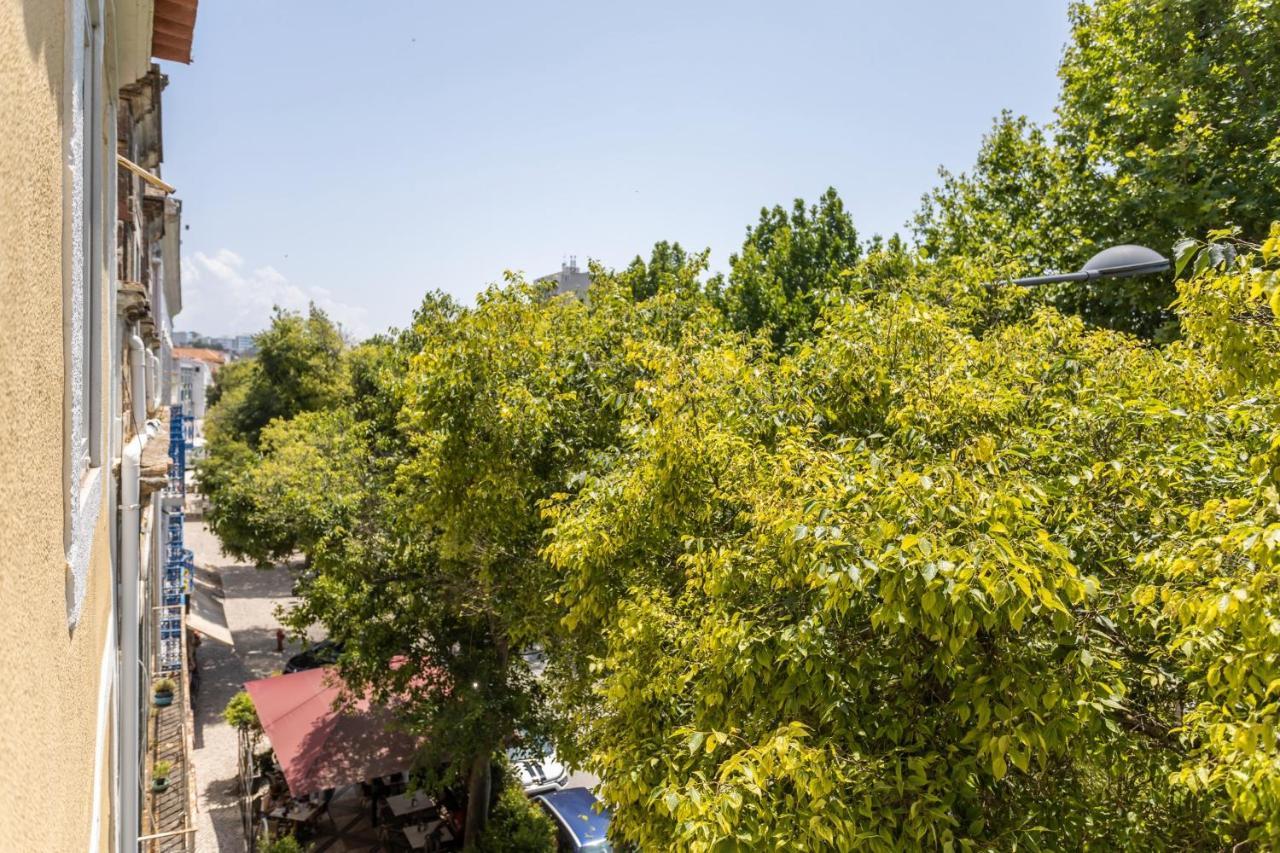 Setubal Citycenter Studios Ngoại thất bức ảnh